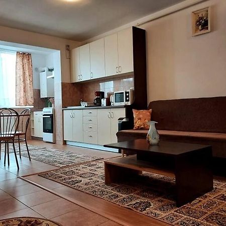 Spacious Flat, With Free Parking & Air Conditioning Floresti  Exterior photo
