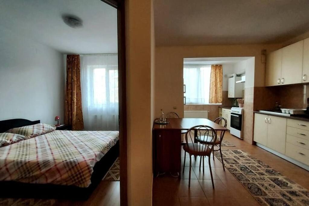Spacious Flat, With Free Parking & Air Conditioning Floresti  Exterior photo